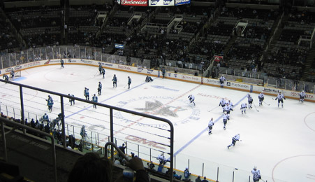 San Jose Sharks